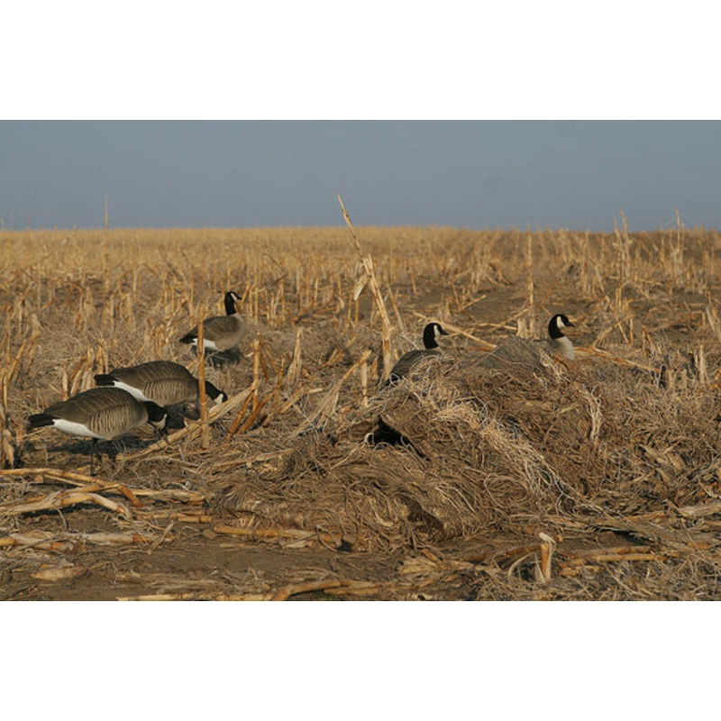 Avery Outdoors Killerweed Layout Blind Kit