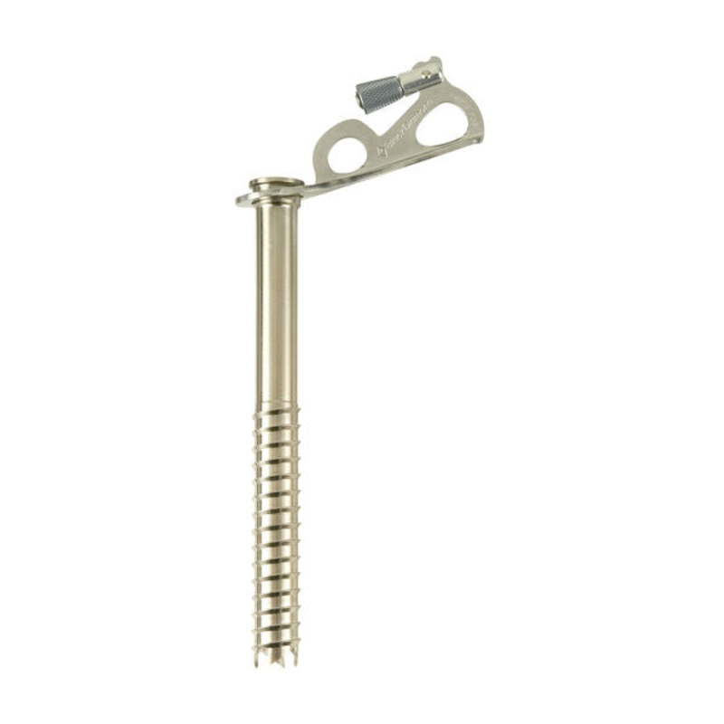 Black Diamond Express Ice Screw