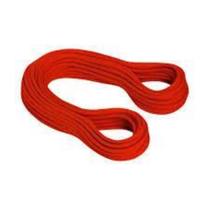 Mammut 9.2 Revelation Dry Rope