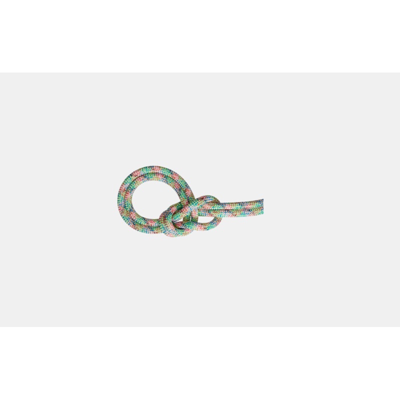 Mammut 9.5 Crag We Care Dry Rope