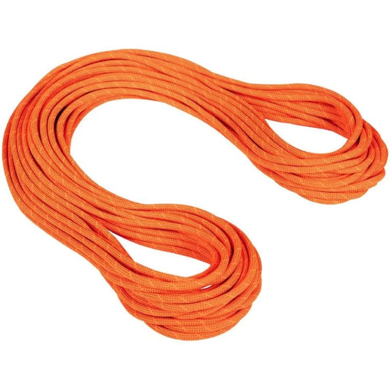Mammut 9.8 Crag Dry Rope Dry Standard Safety
