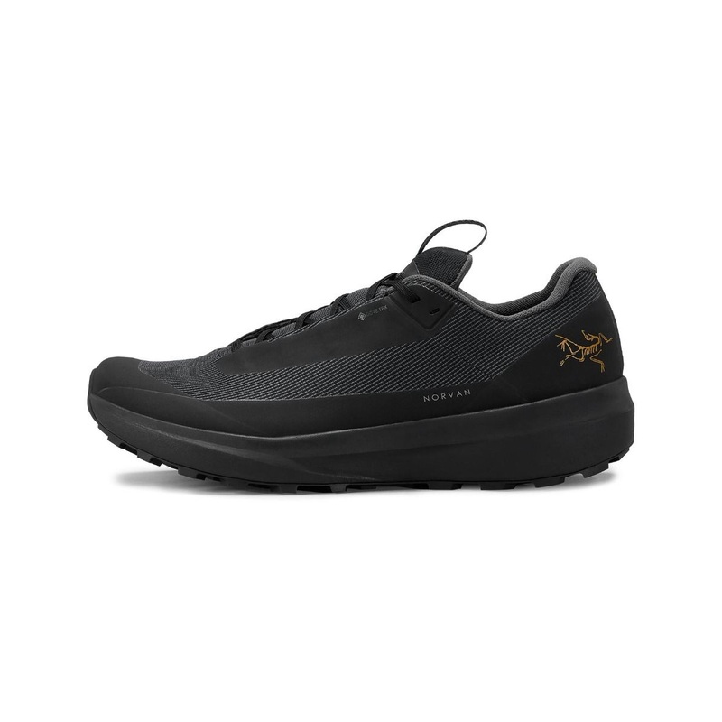 Arc'teryx Norvan LD 4 GTX Shoe  Men's