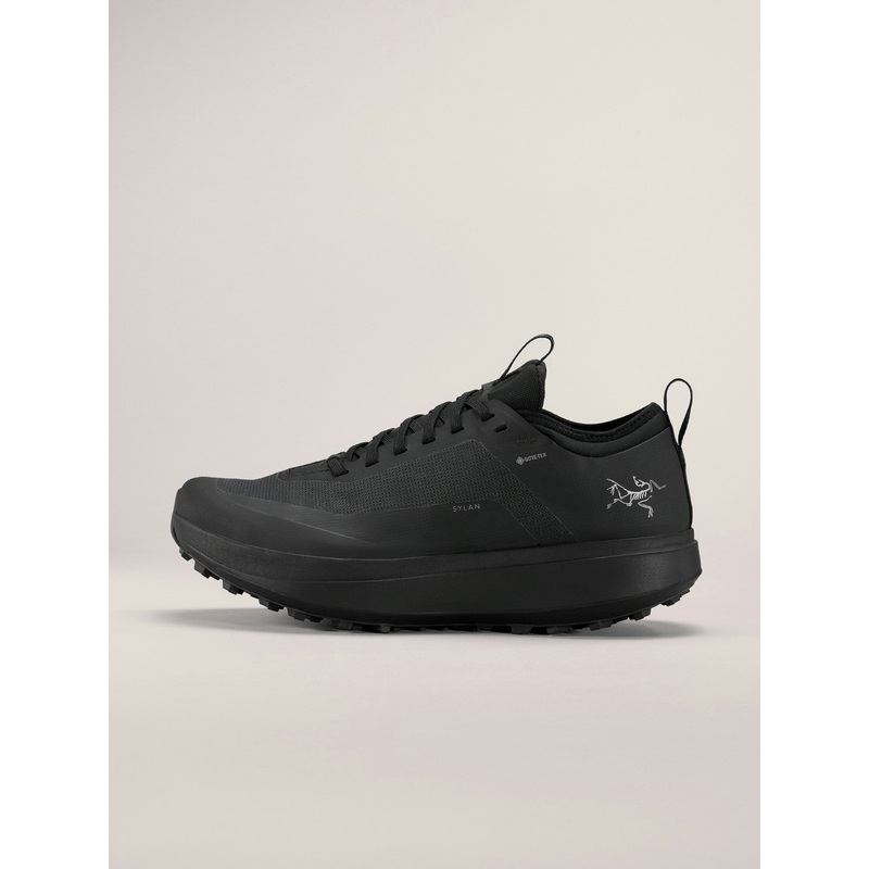 Arc'teryx Sylan GTX Shoe Men's