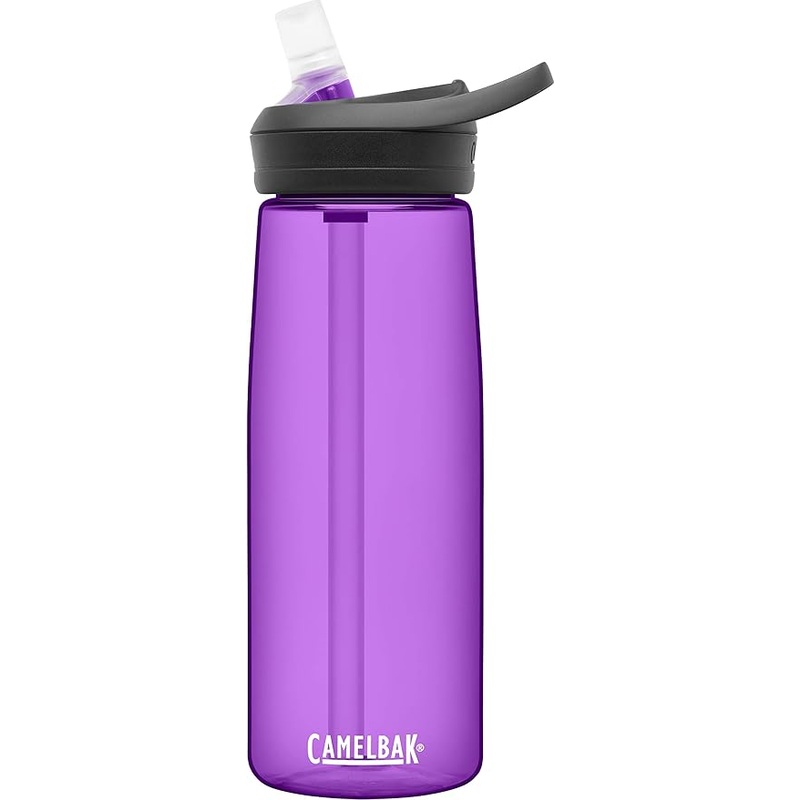 CamelBak Eddy+ 25 Oz Lupine