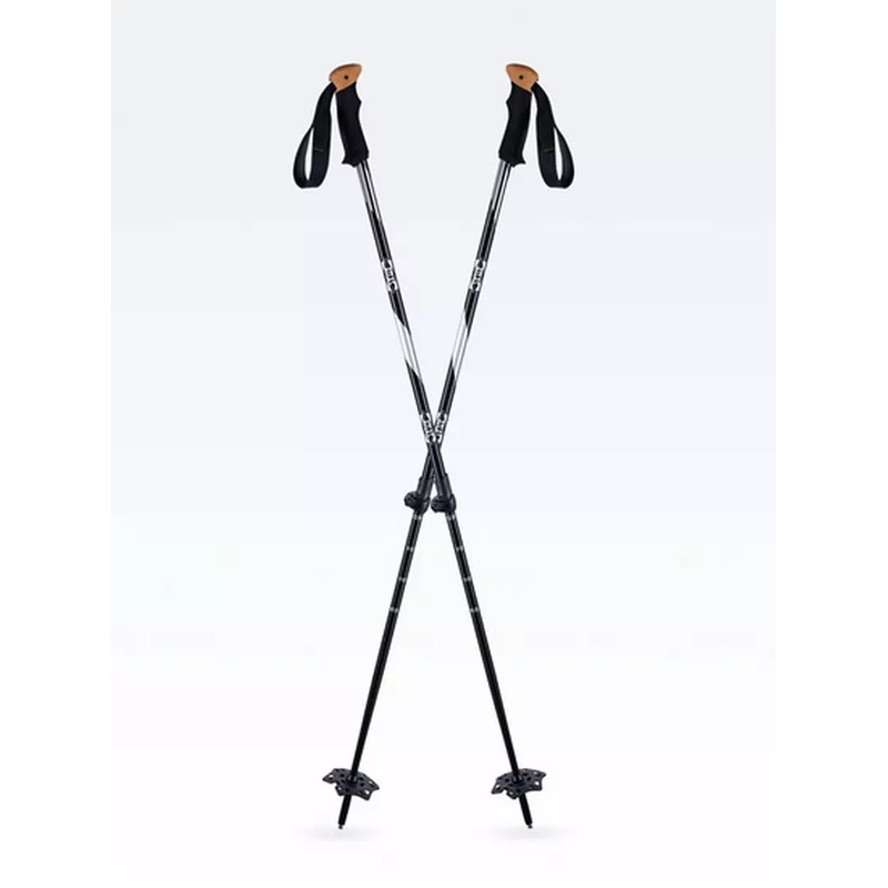 Atlas Trail Walking 2 Piece Pole