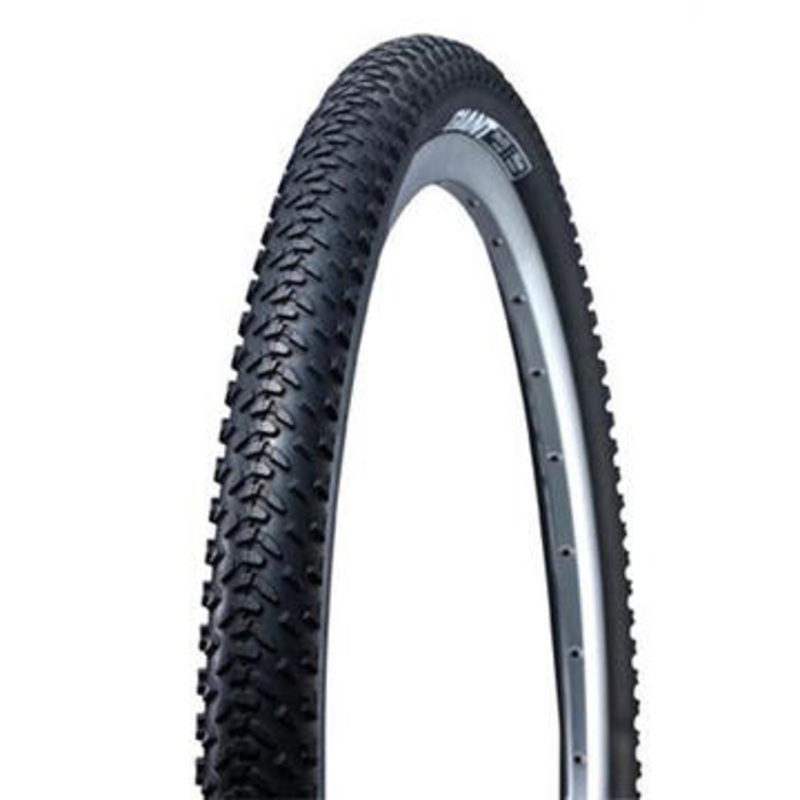 Giant Revel Tire