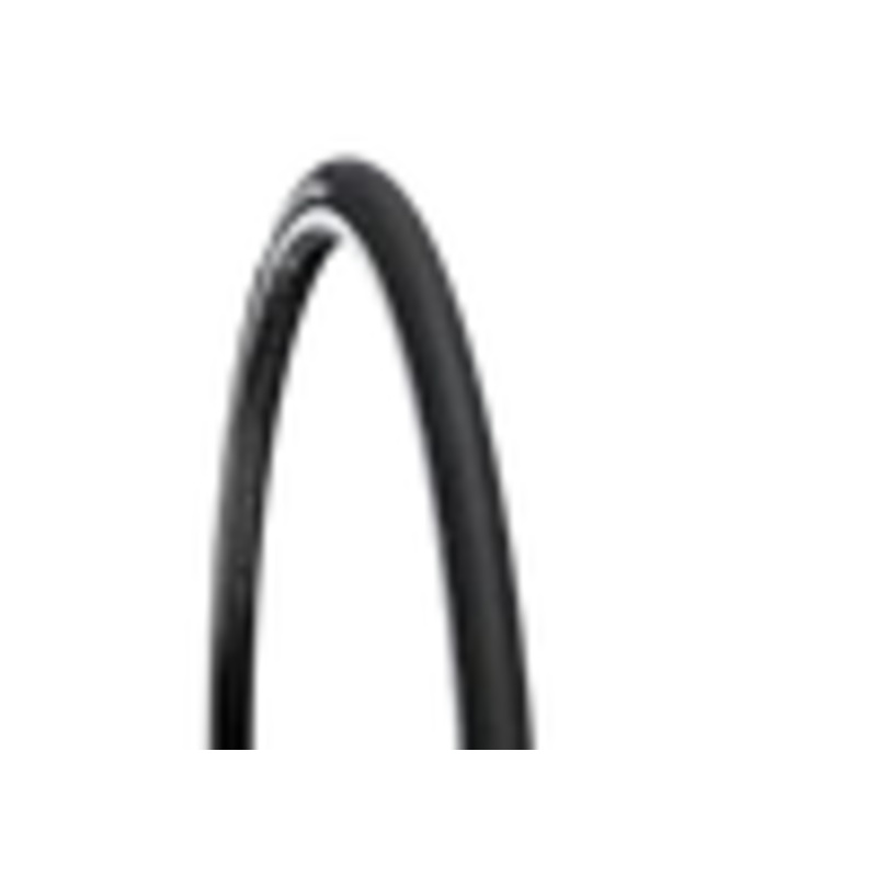 Wtb ThickSlick Tire