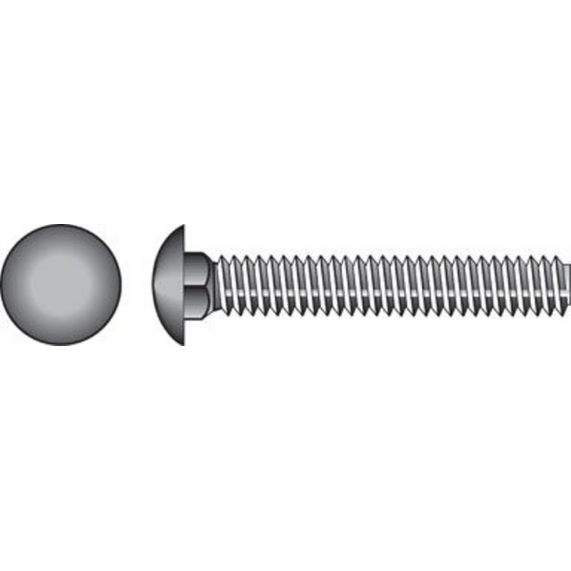 832506 0.25 X 0.75 in. Stainless Steel Carriage Bolt